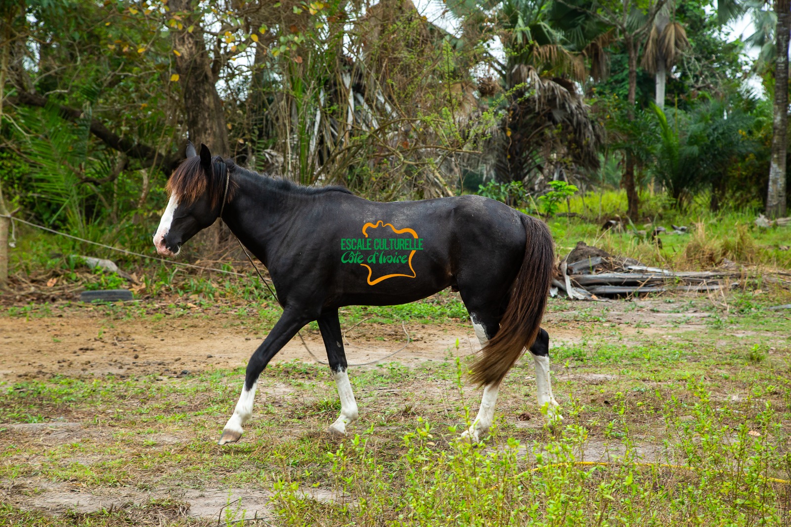 Image supplémentaire