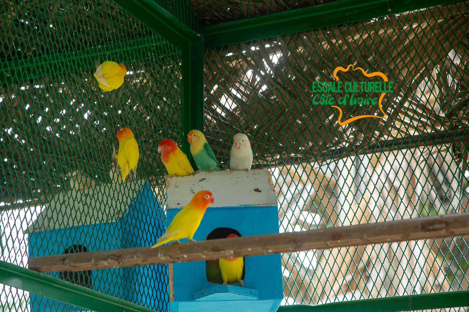 Image supplémentaire