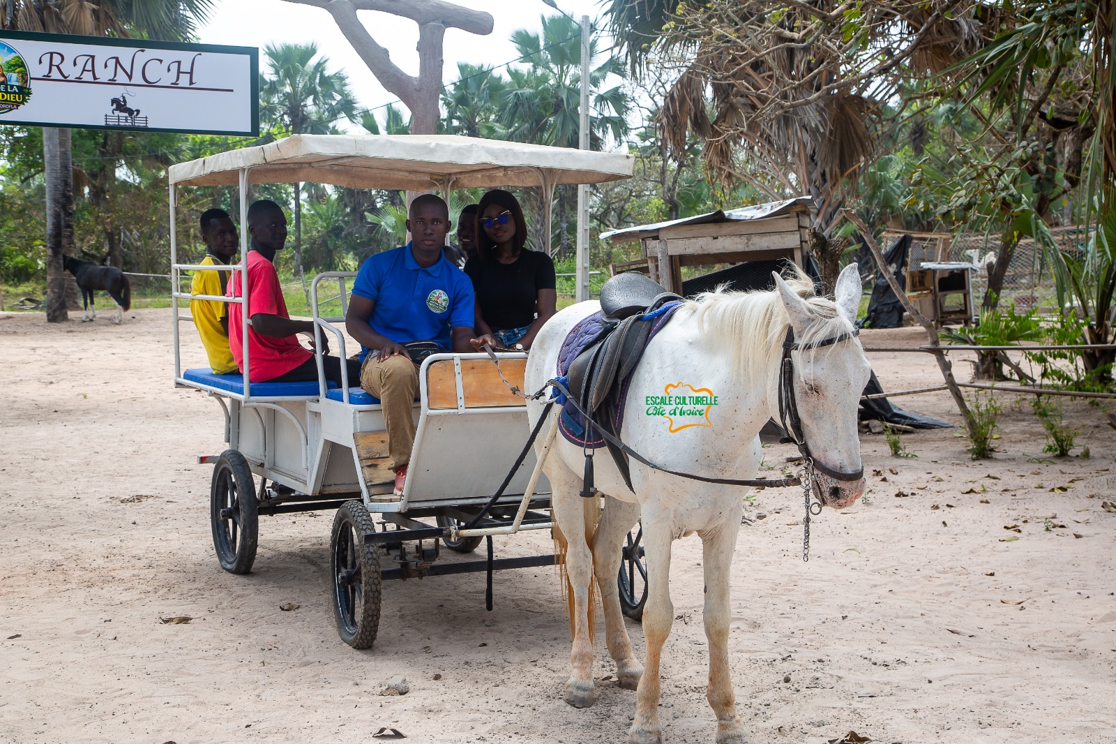 Image supplémentaire