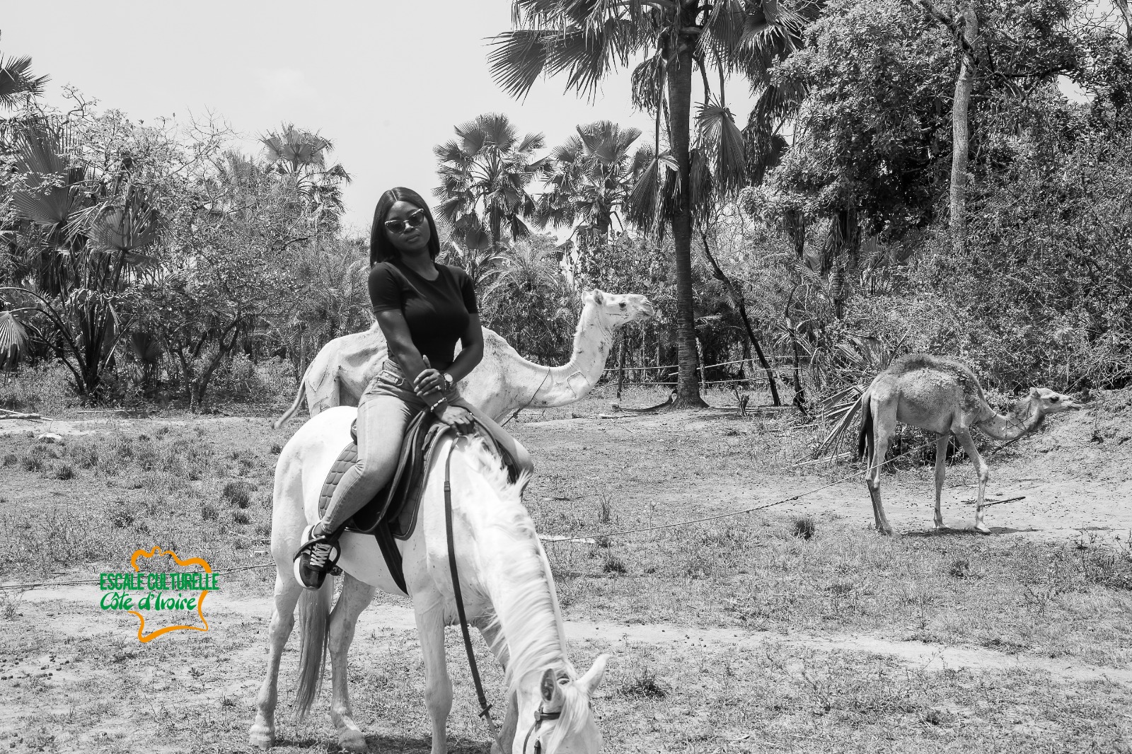 Image supplémentaire